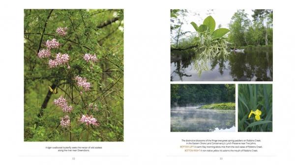 A spread from "Choptank Odyssey" by Schiffer Publishing, Ltd. features photos of pink wildflowers, moss-draped trees, the misty Choptank River, and a yellow iris, each accompanied by natural history details.