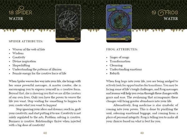 A page from "The Wild Elemental Oracle" by Schiffer Publishing, Ltd. displays cards 18 Spider and 19 Frog, each with a water element label, their attributes, and paragraphs unveiling their Mother Nature wisdom and symbolism.