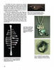 A magazine page features "Form & Function" by Schiffer Publishing, Ltd., with text and four images of modernist jewelry: an eye-shaped metal brooch, a silver abstract brooch, a turquoise-accented pendant, and a circular silver brooch.