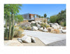 Palm Springs Mid-century Modern by Schiffer Publishing, Ltd. features a stylish home with large windows set behind desert cacti, rocks, and dry grasses beneath a clear sky, complete with a concrete driveway and classic mid-century modern design.