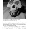 A black and white photo of an Australopithecus afarensis skull fossil rests on cloth, featured on a book page about human evolution in "Evolutionary UFOlogy" by Schiffer Publishing, Ltd.