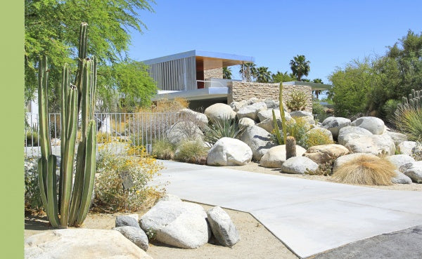 A modern house with large windows and desert landscaping evokes classic mid-century style on the cover of "Palm Springs" by Schiffer Publishing, Ltd.—a scene reminiscent of the region’s iconic postcard views.
