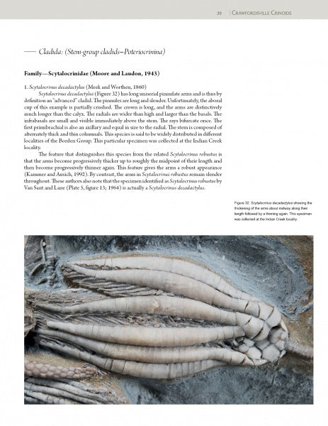 An image from Schiffer Publishing, Ltd.'s Collector's Guide to Crawfordsville Crinoids shows a Stylocrinus scavus fossil with segmented arms in rock. Descriptive text about the specimen appears on the left side of the page.