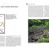 Collector's Guide to the Black Tourmaline of Pierrepont Sites and Minerals