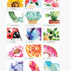 Various Watercolor Pictures