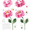 Watercolor the Easy Way - Rose