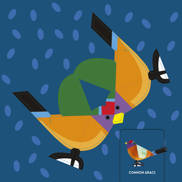 A vibrant bird kite illustration features orange wings, a green body, and a multicolored head on a blue background. An inset shows the labeled Common Araci bird, inspiring children's paper birds and origami. Birds by Schiffer Publishing, Ltd.