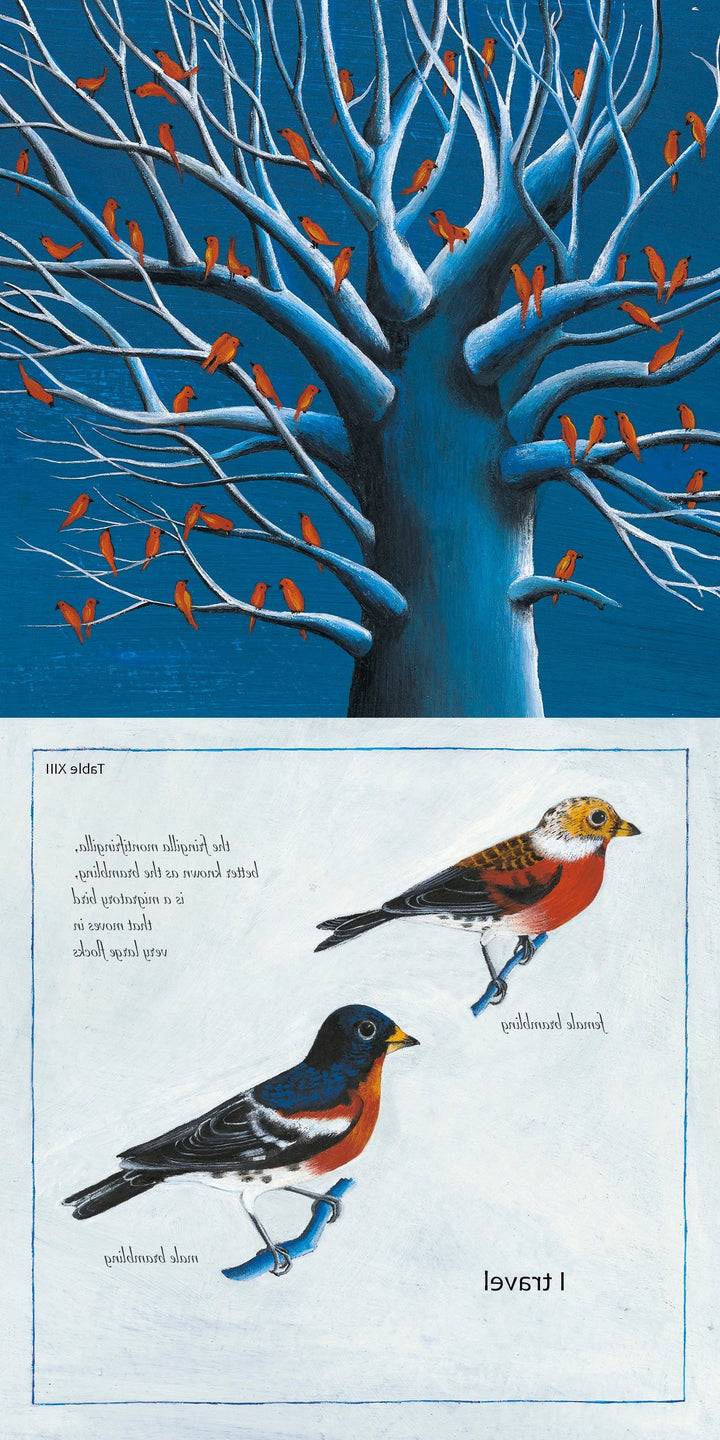 A surreal illustration for "Like a Tree" by Schiffer Publishing, Ltd. shows red birds on white branches above two detailed, upside-down birds. Mirrored text and a blue, white, and red palette evoke the blend of poetry and science.