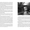 A dramatic black-and-white photo of a winding road under a stone bridge, surrounded by bare trees, evokes the eerie North Carolina legends featured in "Carolina Haints" from Schiffer Publishing, Ltd.
