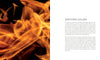 Abstract orange and yellow flames fill the left side of the image. On the right, a white background displays “Loaded” by Schiffer Publishing, Ltd., with black text examining themes of firearms in contemporary art.