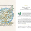 On the left, a hand-drawn Neo-Pagan Tree diagram labeled Roots and Branches illustrates Wicca's origins. On the right, text introduces “A Brief History of Wicca,” Chapter One from Schiffer Publishing’s *An Illuminated Guide to Wicca*.