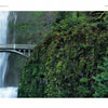 Experience the serene beauty of the Pacific Northwest with "Back Roads of the Pacific Northwest" by Schiffer Publishing, Ltd.—featuring lush gorges, mossy ferns, and iconic waterfalls perfect for landscape photography lovers.