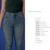 A person in blue jeans and a dark green top holds a paintbrush against a blue background beside the Table of Contents of "Wellness for Makers" by Schiffer Publishing, Ltd., highlighting chapters on artist self-care and injury prevention.
