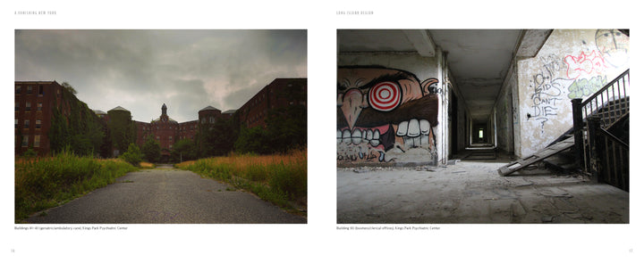 A Vanishing New York by Schiffer Publishing, Ltd. captures graffiti-lined streets winding through abandoned New York, where vibrant street art contrasts with historic architecture—an evocative visual for any photo essay.