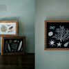 Juno's Nature Embroidery Notebook by Schiffer Publishing, Ltd. features plant and shell images—perfect inspiration for nature or botanical embroidery patterns.