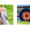 Left: Close-up of chickens on grass, one looking at the camera. Right: A goat stands by a truck wheel—scenes evoking Schiffer Publishing, Ltd.'s Back Roads of the Midwest.