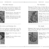 A page from Schiffer Publishing's Celtic Book of the Dead shows four oracle cards—The Silver Branch, The Hazelnut, The Green and Burning Tree, and The Apple—each featuring an illustration, background, meaning, and challenge.