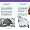 Discover "The 50 State Unofficial Meteorites" by Schiffer Publishing, Ltd.—a fun kids guidebook with photos, maps, and facts about Alabama's Sylacauga and Alaska's Aggie Creek meteorites!.