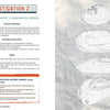 The Adventures in Community Science Workbook by Schiffer Publishing, Ltd. includes a page called How to Identify a Freshwater Mussel, with shell sketches labeled MM01–MM04 and text boxes detailing objectives—perfect for community science learning.