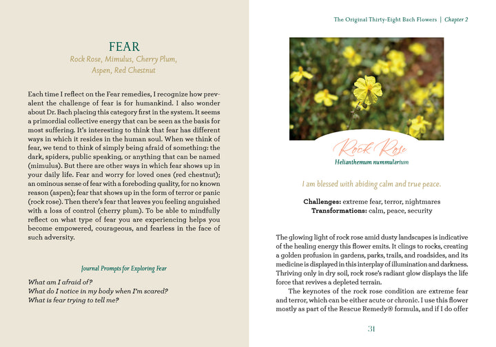 A two-page spread in "The Art of Flower Therapy" by Schiffer Publishing, Ltd. presents the Bach flower remedy Fear with a yellow flower photo, listing remedies and prompts on one page and describing the flower’s energy healing properties on the other.